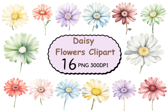 Download Watercolor Daisy Flowers Clipart - Daisy flower Collection