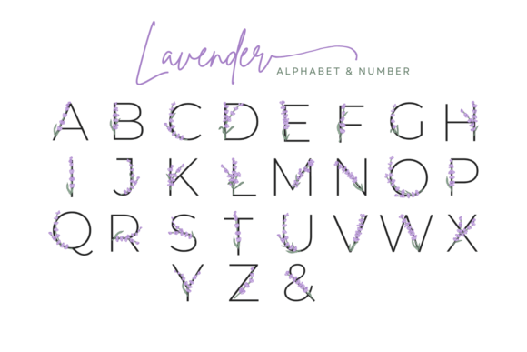 Download Lavender Blossom Violet Flower Alphabet - Violet flower Collection