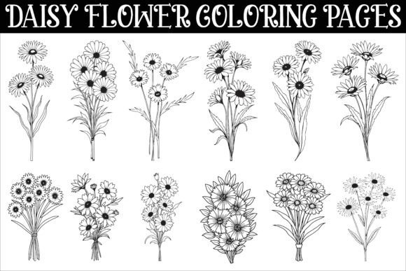 Download Daisy Flower Coloring Pages Featuring - Daisy flower Collection