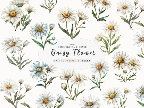 Download Daisy Flower Clipart, Watercolor Daisy - Daisy flower Collection