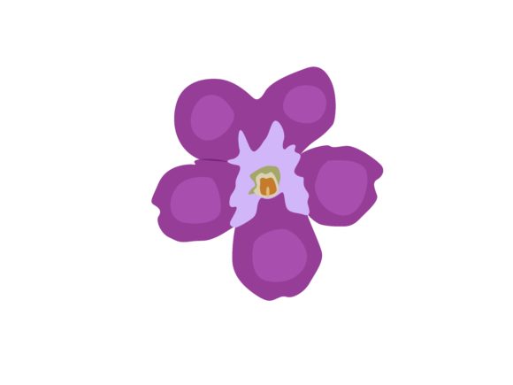 Download Violet Flower - Violet flower Collection
