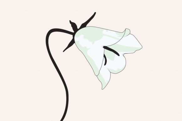 Download Vector White Violet Flower with Stem - Violet flower Collection
