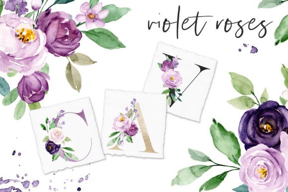 Download Watercolor Violet Flowers Roses - Violet flower Collection