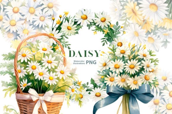Download Watercolor Daisy Flowers Clipart - Daisy flower Collection