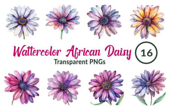 Download Watercolor African Daisy Flower Clipart - Daisy flower Collection