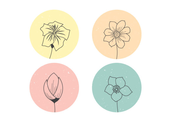 Download Hand Drawn Flowers Illustration - Hand drawn flowers Collection
