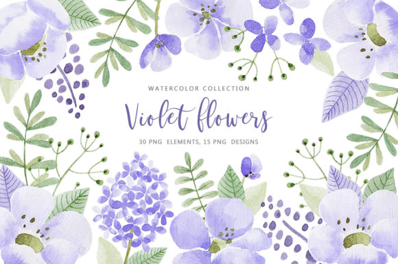 Download Violet Flowers - Violet flower Collection