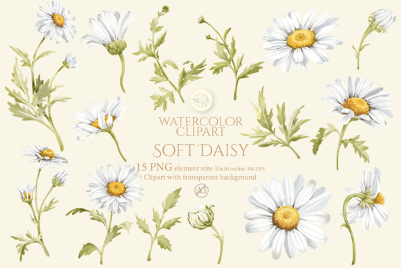 Download Soft Daisy Flower Watercolor Clipart Set - Daisy flower Collection