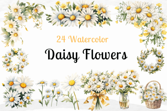 Download Daisy Flowers Watercolor Clipart - Daisy flower Collection