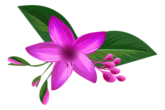 Download Bright Violet Flower. Jungle Forest Natu - Violet flower Collection