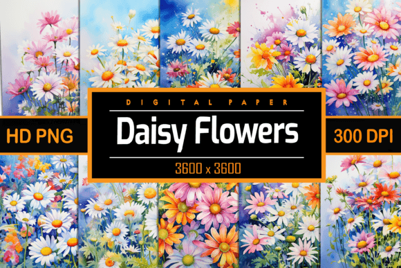 Download Watercolor Daisy Flowers - Daisy flower Collection