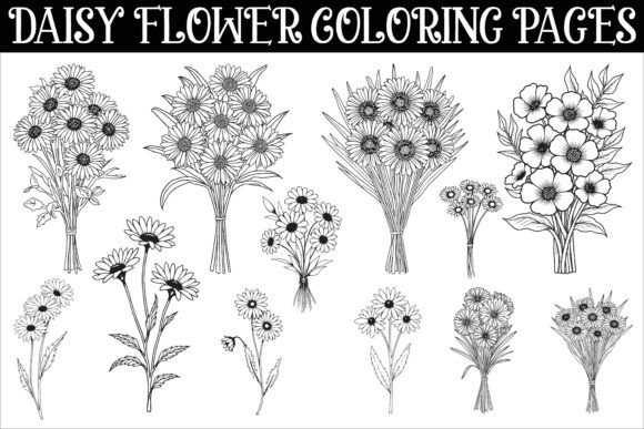 Download Daisy Flower Coloring Pages Featuring - Daisy flower Collection