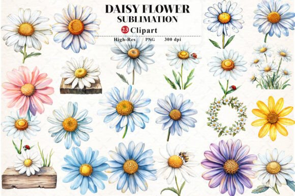 Download Daisy Flower Watercolor Cliparts - Daisy flower Collection