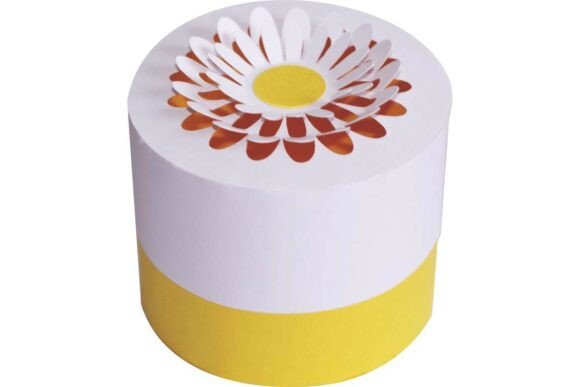 Download Pop out Daisy Flower on Top Cylindar Box - Daisy flower Collection