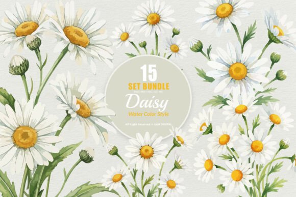Download 15 Bundle Watercolor Daisy Flower White - Daisy flower Collection